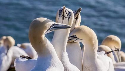 爱游戏娱乐网址-青训投入与产出失衡矛盾突出，青训投入与产出失衡矛盾突出问题