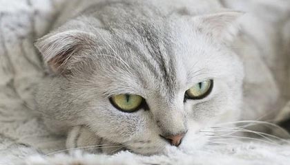 爱游戏娱乐网址-青训投入与产出失衡矛盾突出，青训投入与产出失衡矛盾突出问题