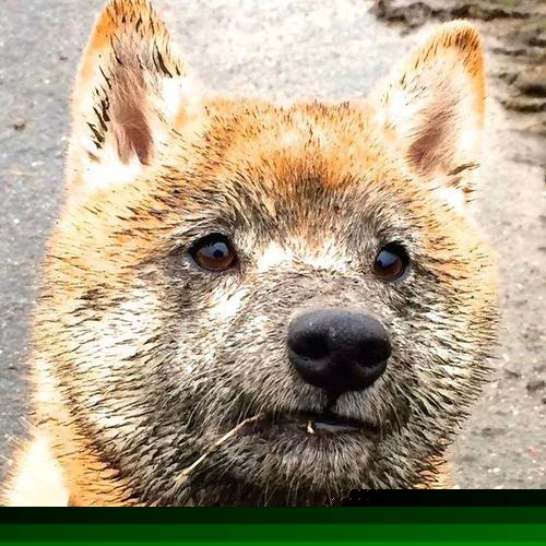 爱游戏全站app注册-CBA联盟推广俱乐部青训标准化管理，cba青训体系