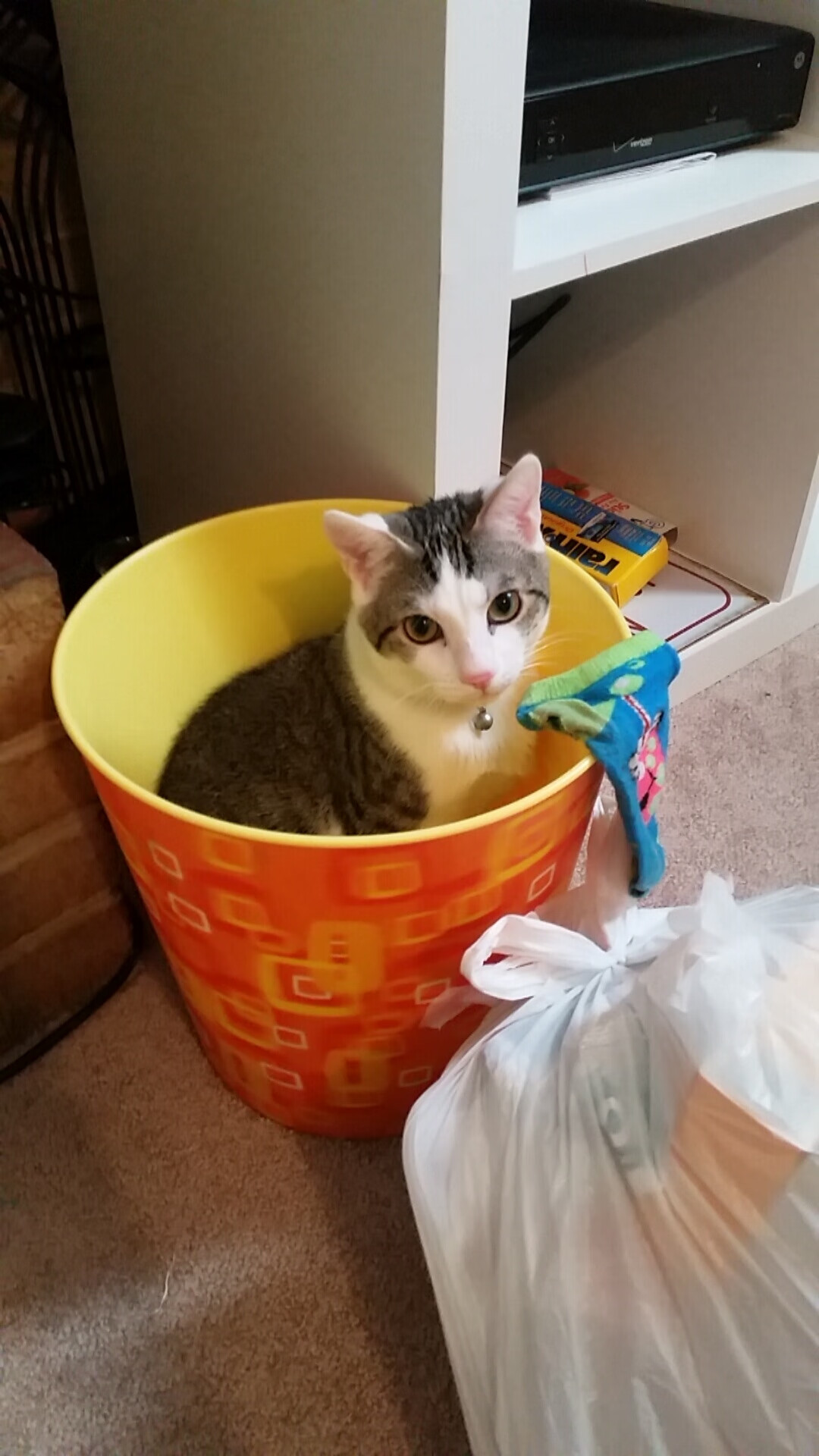 爱游戏在线登录入口-“费尔南多·比亚尔巴如何带领美洲狮队走向世界舞台的巅峰”